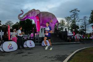 BIB: 
                            <button type="button" onclick="openModal(26529524)" class="btn btn-primary btn-sm float-right btn-popup" data-toggle="modal" data-target=".modal-high-quality">
                        <i class="fas fa-shopping-cart"></i> Add to Cart
                    </button>
                                            <button type="button" onclick="isThisMe(26529524, true)" class="btn btn-success btn-sm float-right btn-popup btn-isme hidden" data-toggle="tooltip" data-placement="bottom" title="นี่คือรูปของคุณใช่ไหม คลิกที่นี่เพื่อเอาเข้าอัลบั้ม">
                        <i class="fas fa-plus"></i> Add to album
                    </button>
                    <button type="button" onclick="isThisMe(26529524, false)" class="btn btn-warning btn-sm float-right btn-popup btn-isnotme hidden">
                        <i class="fas fa-ban"></i> Remove from album
                    </button>